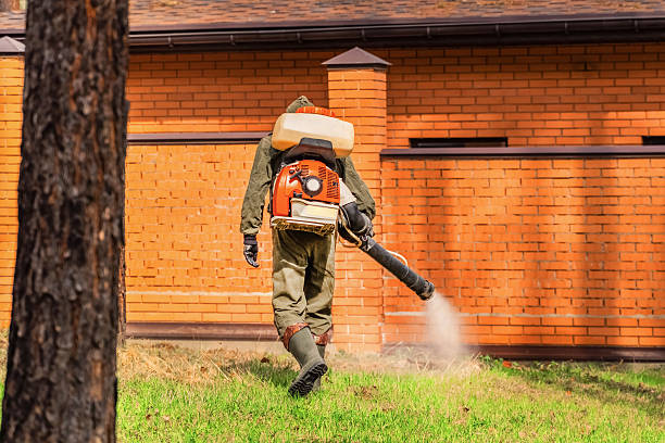 Trusted Bed Bug Control service in Keewatin, MN - Nex Pest Control